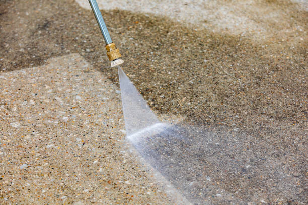 Best Warehouse Cleaning  in Fraser, MI