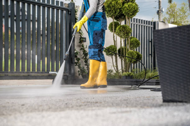 Best Driveway Pressure Washing  in Fraser, MI